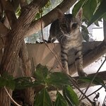 Photo taken by Dana L