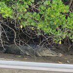 Photo taken by Sabiha K