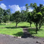 Photo taken by Norma G