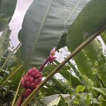 Photo taken by Darcy M