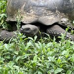 Photo taken by Sofia W