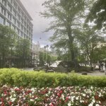 Photo taken by peter r