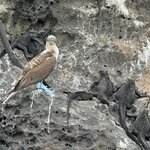 Photo taken by Gary W