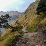 Photo taken by Cesar A