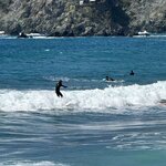 Photo taken by Frank S