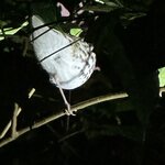 Photo taken by Bonnie Y