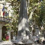 Photo taken by Sarah M