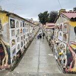 Photo taken by Collins M