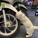 Photo taken by Christopher B