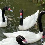 Photo taken by Carmen P