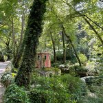 Photo taken by Bobbie X