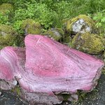 Photo taken by Susan K