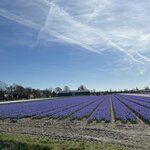 Photo taken by Jennifer D