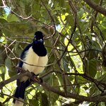 Photo taken by sam s