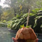 Photo taken by Radha P