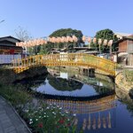 Photo taken by Megan H