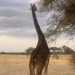 Photo taken by Kristin M