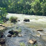 Photo taken by Kathy D