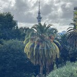 Photo taken by Linda F