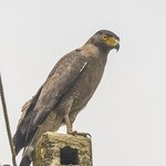 Photo taken by Graham D