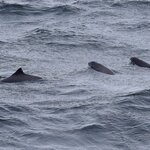 Photo taken by Yumi A