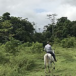 Photo taken by Michelle D