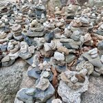 Photo taken by Laura W