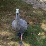 Photo taken by Julie H