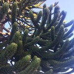 Photo taken by Beth S