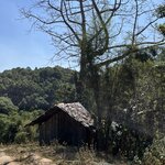 Photo taken by Kristen M