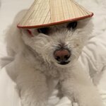 Photo taken by Lisa M