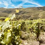 Photo taken by Ken N