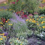 Photo taken by Gary G