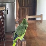 Photo taken by Mick K