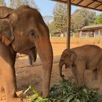 Photo taken by Aya I