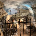 Photo taken by Jenifer B