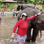 Photo taken by Stephanie T