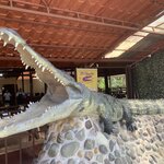 Photo taken by Karen P