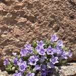 Photo taken by Teresa R