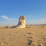 Photo taken by Kim M