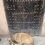 Photo taken by Cynthia F