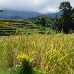 Photo taken by Alexandra G