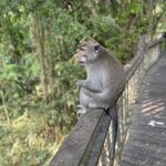 Photo taken by Brittany Leslie Lynn S