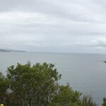 Photo taken by Linnaea M