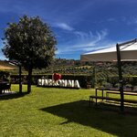 Photo taken by Pamela B