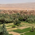 Photo taken by Tom B