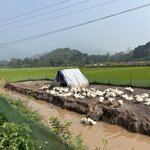 Photo taken by Susan R