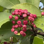 Photo taken by Carrie N