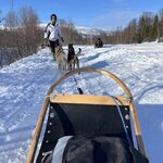 Photo taken by Sharon S