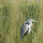 Photo taken by Linette B